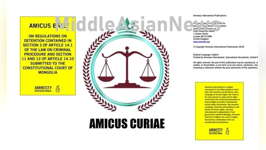 Amnesty International Монголиянын Конституциялык сотуна Amicus Curiae жиберди