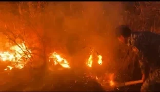 Милиционеры предотвратили лесной пожар в Тюпском районе