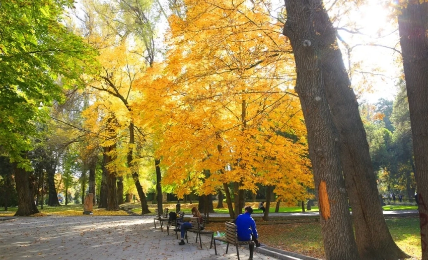 Теплый октябрь – какая погода ждет бишкекчан до конца недели
