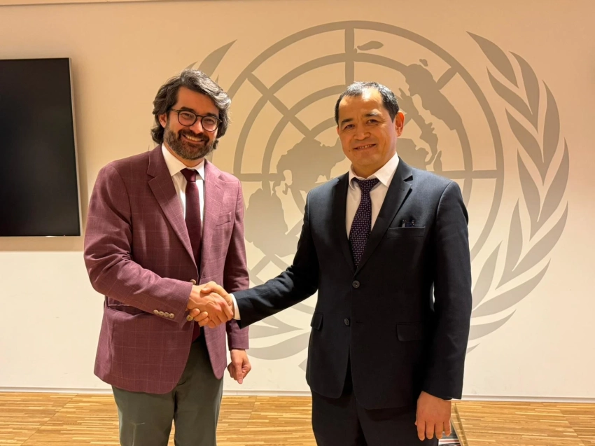 Кыргызстан укрепляет сотрудничество с ВОЗ в области ИИ и цифрового здравоохранения