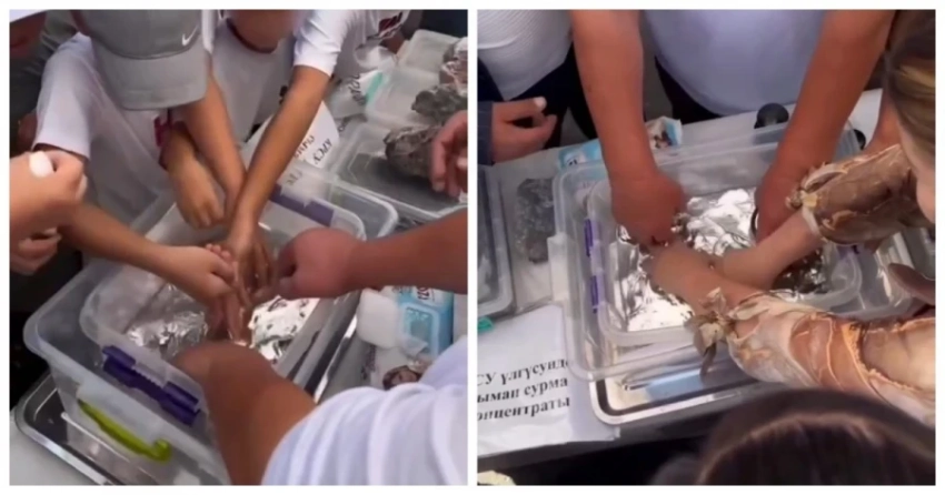 Свинец в крови детей, жидкая ртуть в руках на празднике: отношение к здоровью стало беспечнее?