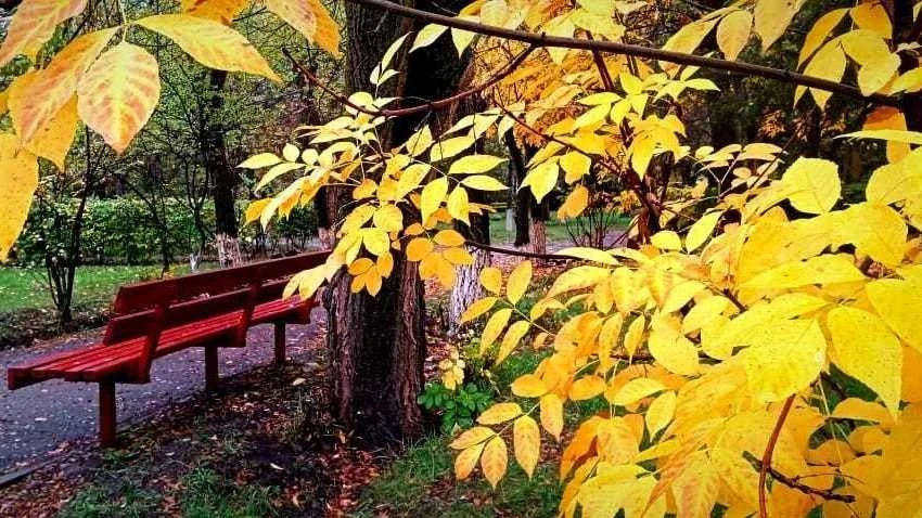 Без осадков будет в выходные только на юге и юго-востоке Казахстана