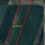 ГКНБ КР: На баланс государства возвращены 80 га земель в Иссык-Атинском районе