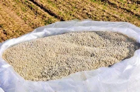 В Кыргызстане внедрён инновационный метод посева семян