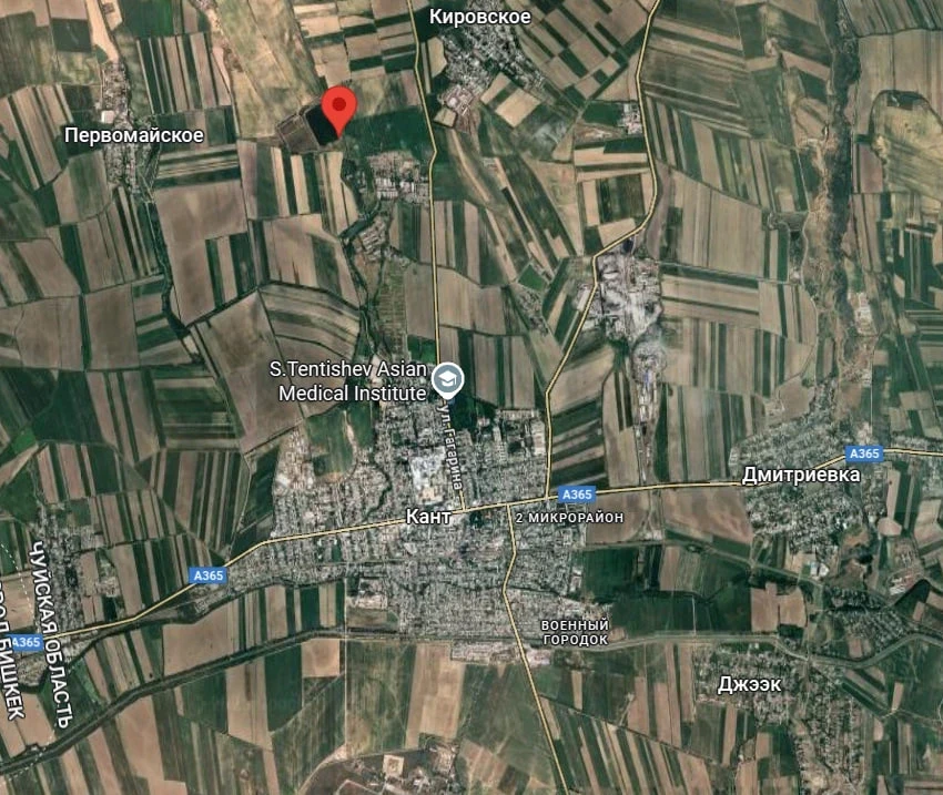 Гибель рыбы в Ысык-Атинском районе. Бизнесмен жалуется на бездействие правоохранителей