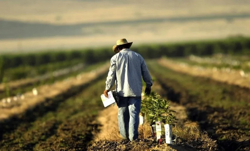 В Алайском районе провели полевой семинар для фермеров