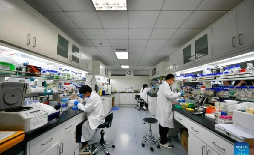 Китай разрабатывает таблетки для продления жизни до 120 лет