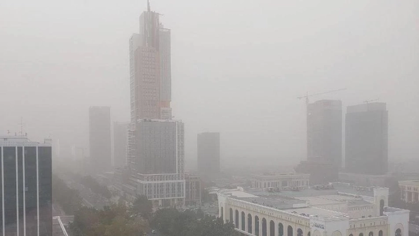 Власти Ташкента назвали тепличные хозяйства источником загрязнения воздуха в столице