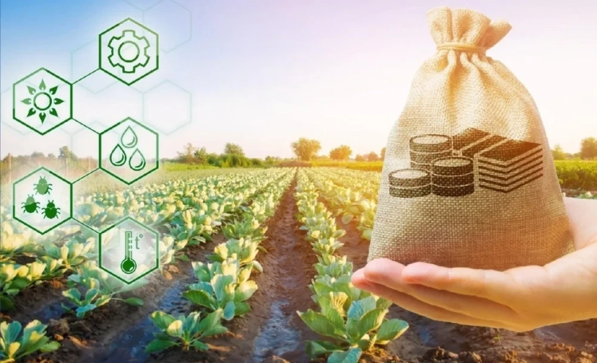 По проекту «ФСХ-13» аграриям выдано более 4 млрд сомов льготных кредитов