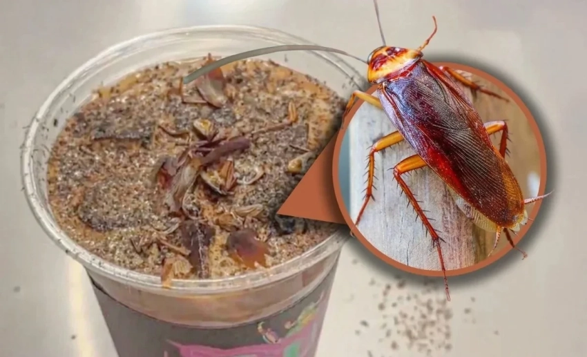Кофе с тараканами и червями стал трендом в Китае