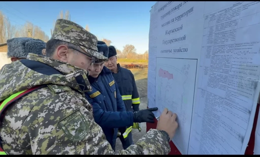 МЧС провел анализ действий служб на месте недавнего пожара в Чуйской области