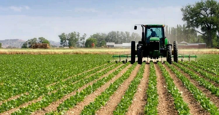 За порчу сельхозземель в Кыргызстане придется заплатить до 8,5 миллиона сомов