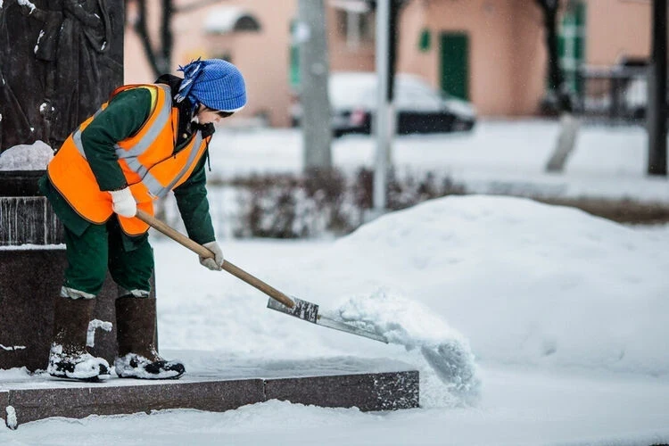 Губернатор Петербурга объяснил, почему мигрантам запретили работать курьерами