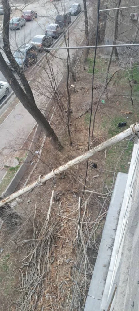 Горожанка обвиняет "Бишкекзеленстрой" в повреждении своего балкона. Ответ мэрии