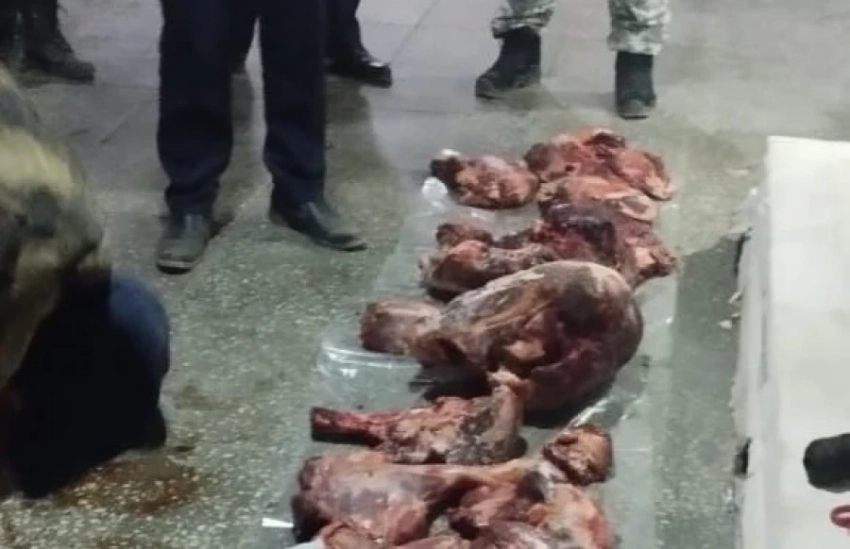 В Ат-Башынском районе незаконно охотились на горных козлов