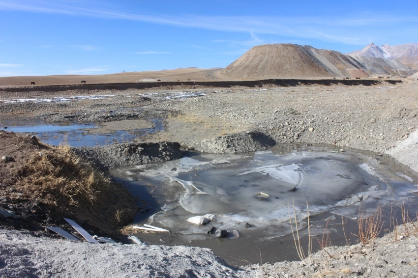 В Алае построят ветропарки. Ученые проверили, не нанесут ли они вред природе