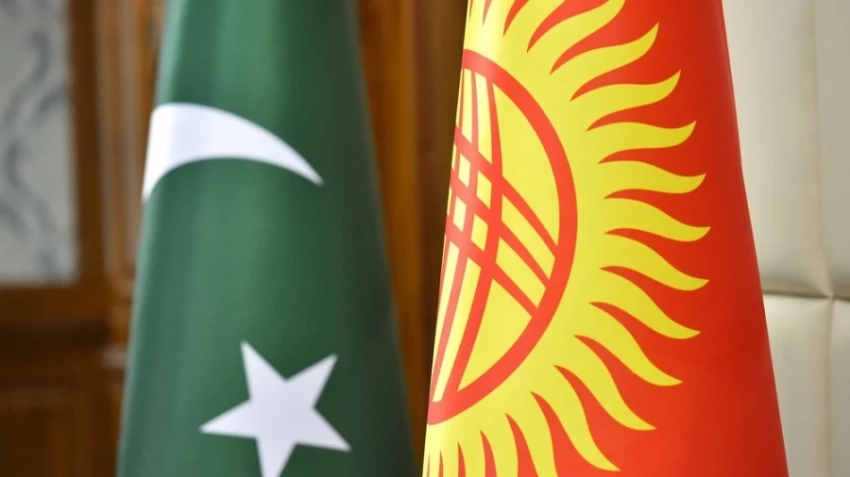 Кыргызстан и Пакистан планируют увеличить ежегодный товарооборот до 500 млн долларов