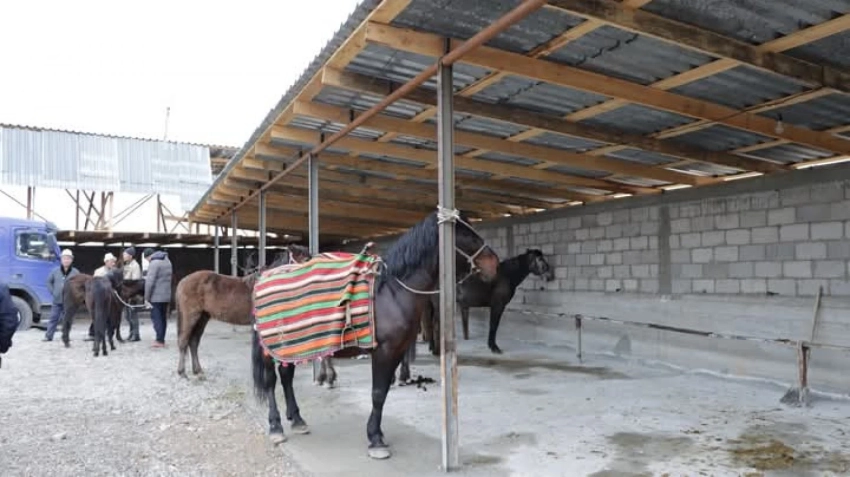 Животные без справки не допускаются: В Кыргызстане усилен контроль на скотных рынках