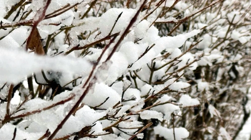 В Казахстане из-за циклона ожидается ухудшение погоды