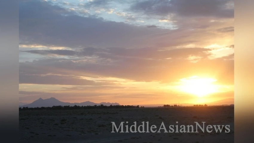 Японцы приняли решение восстановить саксауловый лес в Монголии