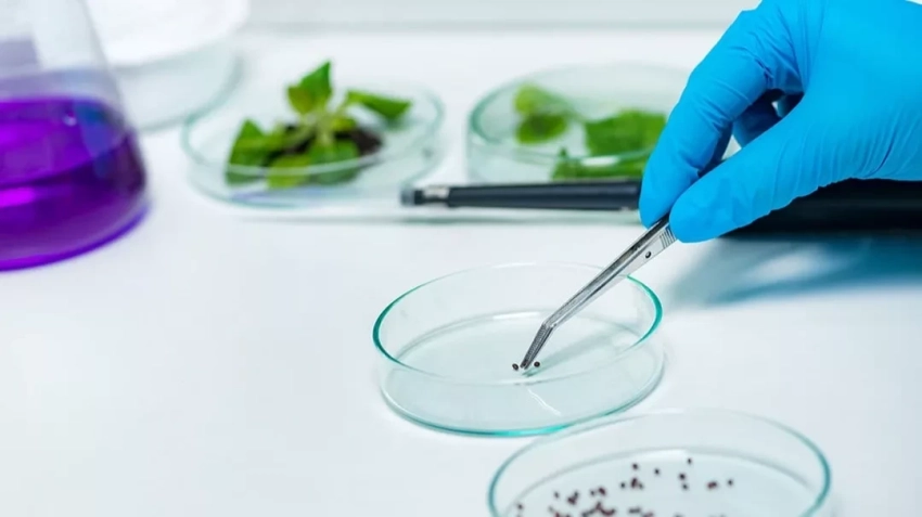 В Балыкчи строится лаборатория по карантину растений