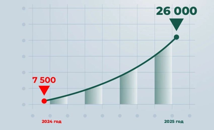 ГТС КР: За 6 месяцев 2025 года через «Единое окно» выдано более 26 тыс. документов