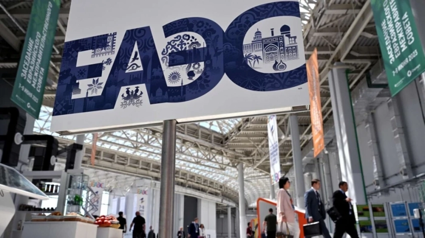 В странах ЕАЭС создадут общие евразийские туристические маршруты