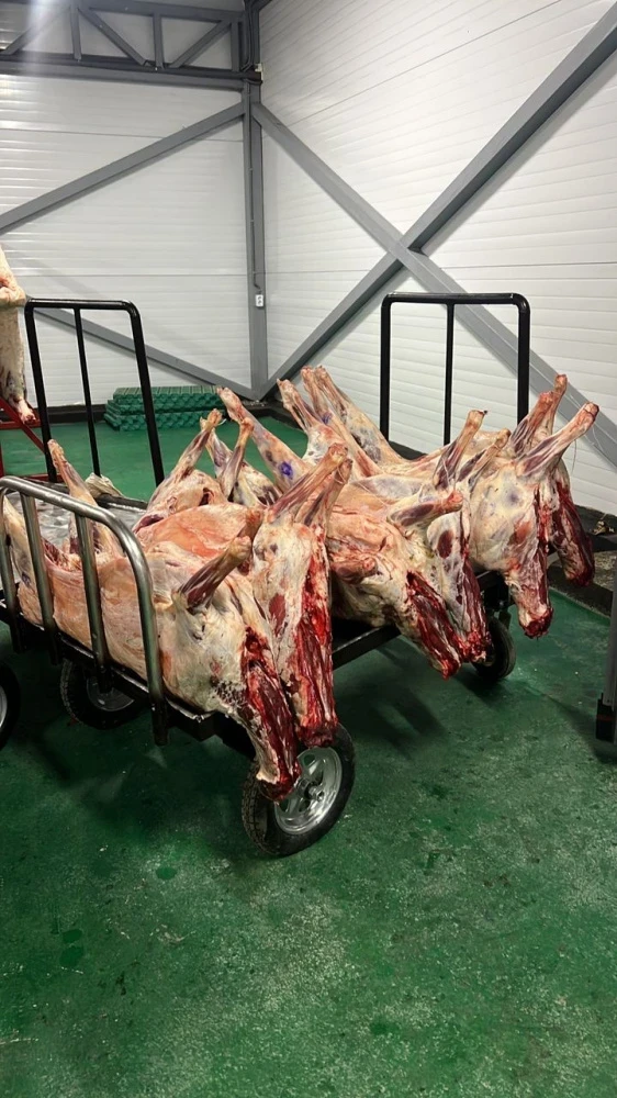 Оптовую торговлю мясом перенесли с Ошского рынка в другой район