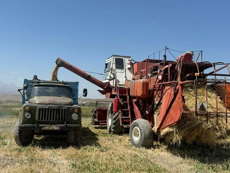 Потери урожая, рост животноводства. Как фермеры Кыргызстана закончили 2025 год