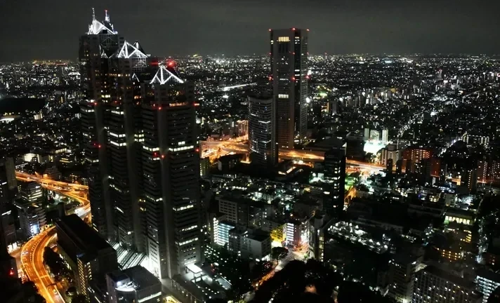 В Японии распустили нижнюю палату парламента