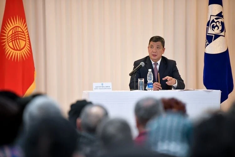 Разработана Программа развития вновь присоединенных районов Бишкека до 2030 года