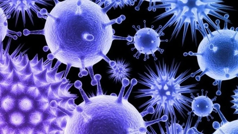 Распространяющийся в Индии вирус Nipah в Узбекистане не выявлен, - Санэпидкомитет РУз