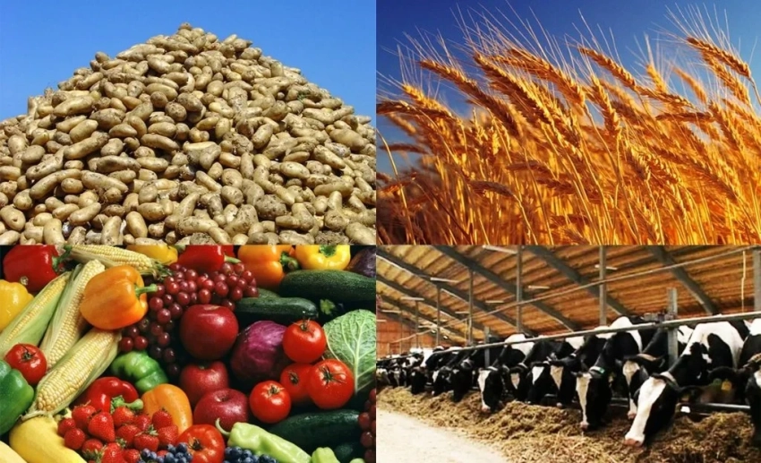 Цифровой фермер и «от поля до полки»: как развивалось сельское хозяйство КР в 2025 году