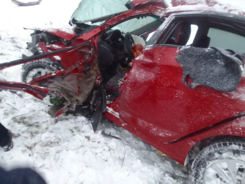 В Ысык-Атинском районе машина врезалась в дерево, погибла женщина