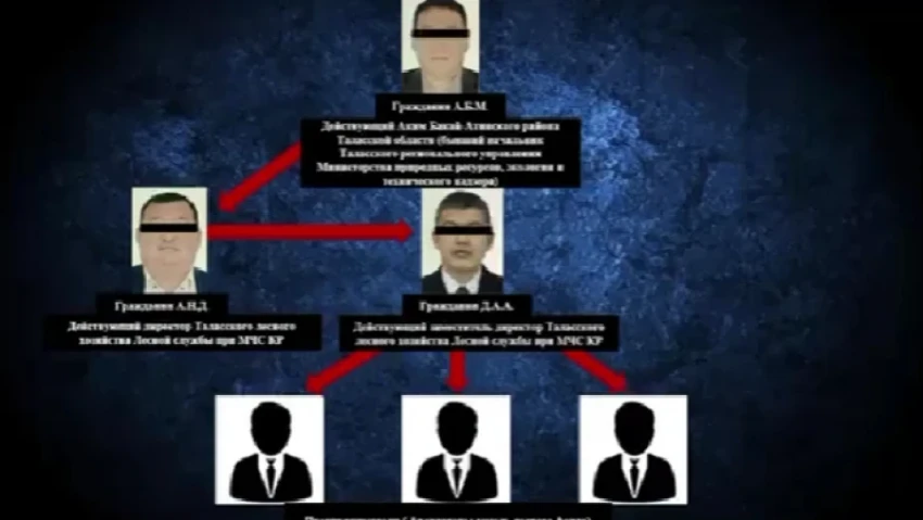 В Таласской области задержали акима и директора лесного хозяйства