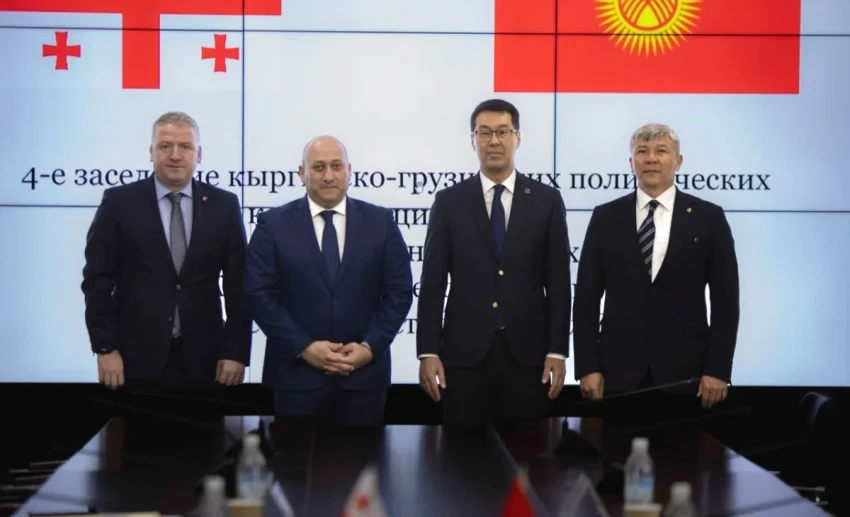 Кыргызстан и Грузия укрепляют политический и экономический диалог