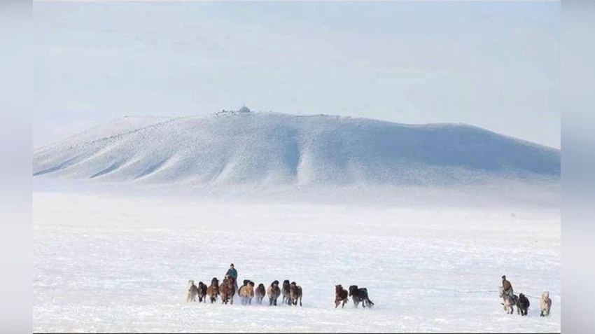 На равнинах Дарьганги выпадет снег