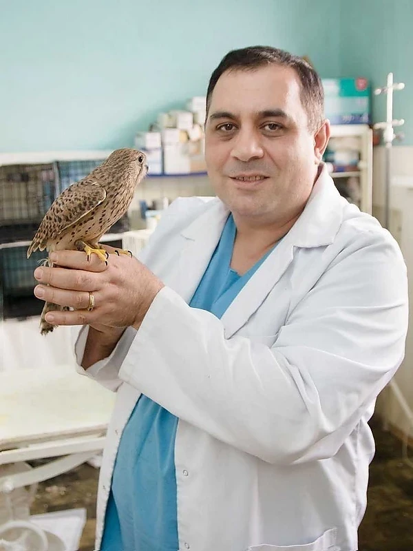 Российский ветеринар Карен Даллакян прилетает в Бишкек спасать редких птиц