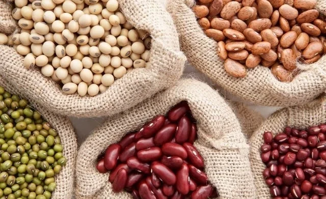 Торобаев: Фасоль стала биржевым товаром, но экспорт требует переработки