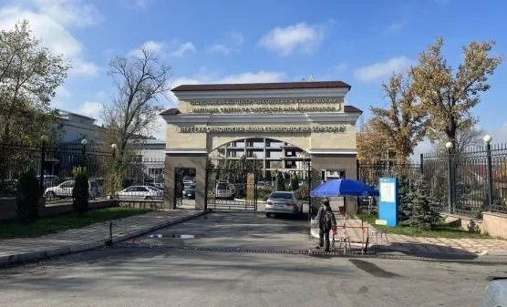 В Кыргызстане ежегодно выявляют около 6 тысяч новых случаев рака - Жумабаев