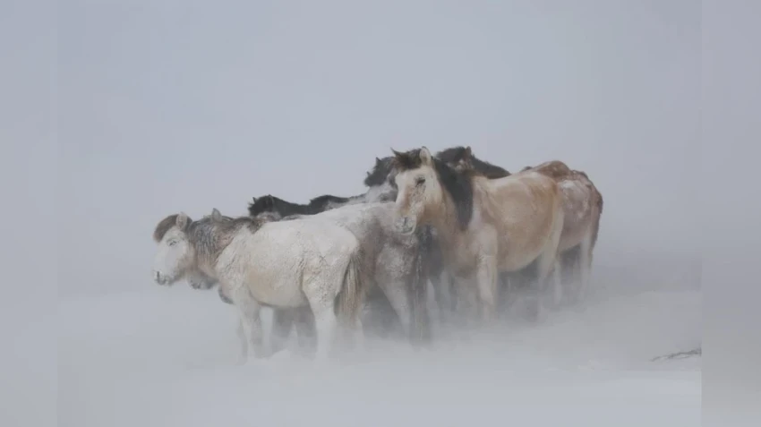 Ожидается, что в течение дня по всей стране стихнет холодная погода