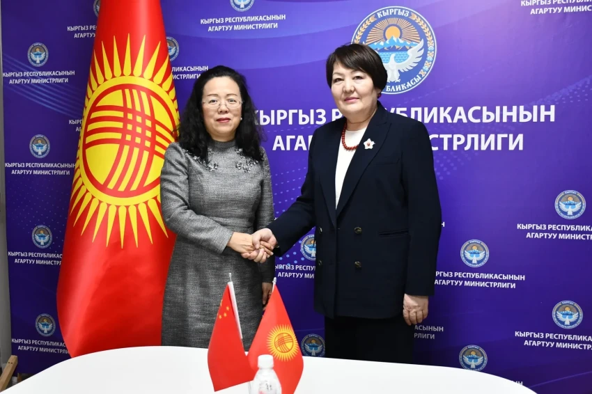 Минпросвещения и посольство КНР обсудили совместные образовательные проекты