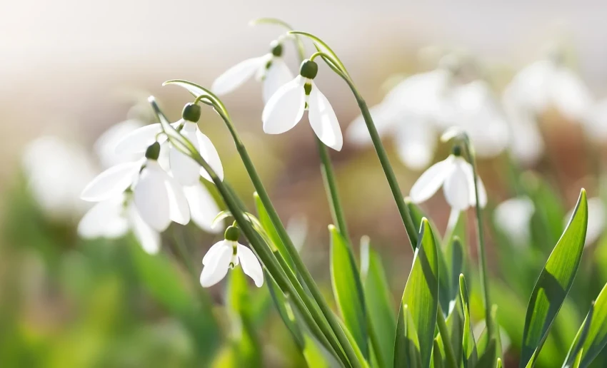 В Бишкеке ожидается потепление до +22 градусов